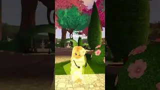 dance time