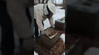 Первые работы на пасеке.Облёт пчёл.