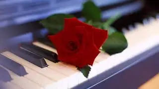 Relaxing Piano Music for Stress Relief   Soothing Romantic Piano   3 HOURS for Massage, Spa   YouTub