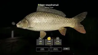 🐟Карпа 4,7 кг, место для ловли #русскаярыбалка4 #russianfishing4 #рыбалка #трофей #карп #fishing