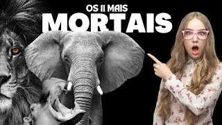 🦁Os 11 Animais Mais Mortais do Mundo!😱 - Descubra o Lado Sombrio da Natureza!