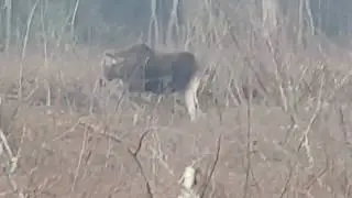 РБ Беларусь