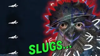The build to raise slug stats in Dead by Daylight