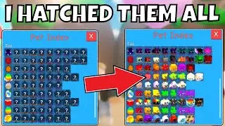 I Hatched EVERY Pet In BGS Remake (Pauls Bubble gum simulator)