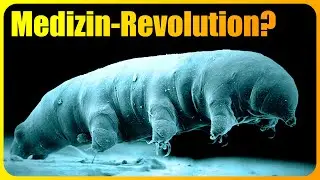NEUE Spezies entdeckt! Sie könnte die Medizin REVOLUTIONIEREN!