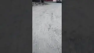 Пробитий піддон