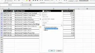 Using Search Filters In Excel 2010.mp4