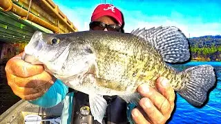 This Bait Is Absolutely Irresistible To Crappie! (Catch Loads)