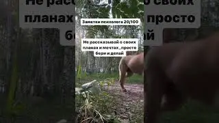 Заметки психолога 20/100 #psychologyfacts #психология #психолог#рекомендации