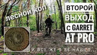 Новичок. Второй выход с GARRET AT PRO. Лесной коп.