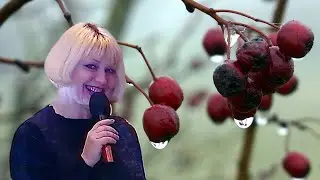 Каханне-вiно - Святлана Суседчык