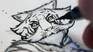 7 Steps To Character Design
