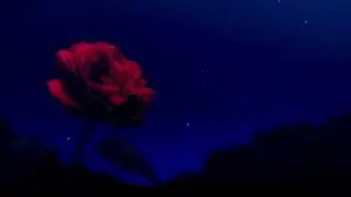 Thee Sacred Souls - Can I Call You Rose? (slowed + reverb)