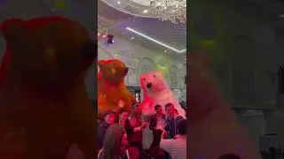 Ayiqlar tuyda uynashi Samarkand mishka