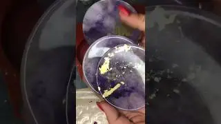 9 января 2024 г.
