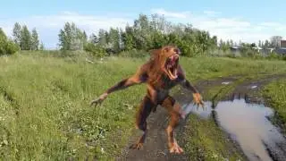 Братья Ведьмаки(Проба создания эффектов)