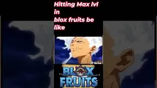 Hitting Max lvl in Blox Fruits be like