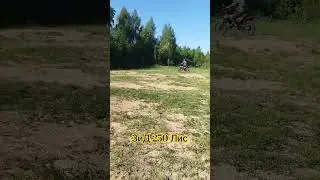 Эндуро на ЗиД 250 Лис в Лобне.
