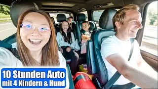 10 hours of driving with 4 kids & a dog 😳 Family vacation VLOG | Mamiseelen