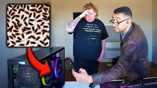Filling My Computer With Actual Bugs and Hiring Someone to Fix it!