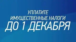 Информационный видеоролик по имущественным налогам 2017