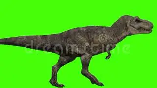 Bull Rex walking green screen