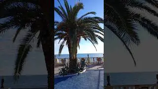 17 мая Сочи🐬🌴🌲🤩