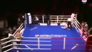 Эркан Тепер нокаутирует Дэвида Прайса