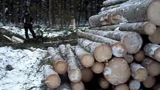 контроль длины 11 февраля