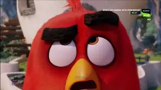 The Angry Birds Movie (2016) Ending scene and Credits