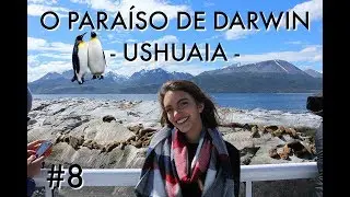 EXPLORANDO A ILHA DOS PINGUINS - VLOG USHUAIA (Débora Aladim)
