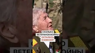 Сколько ветеранов войны осталось в Минске?