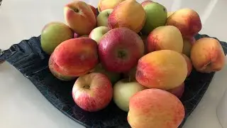 Смотрю за малым внуком, порезали барана на Курбан байрам, были гости🌹❤️