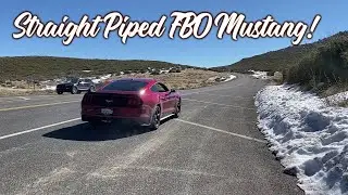 Mustang Ecoboost Straight Piped FBO Stage 3 Launch!