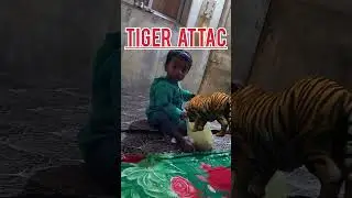 Tiger attack #tiger #tigerattack