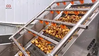 Potato Washing Grading Machine Line #potato #washing #grading