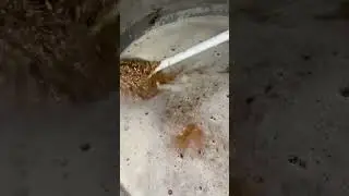 Вот и пиво на подходе