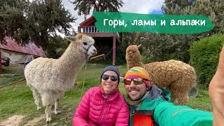 Горы Боливии. Мой самый короткий поход. Ламы и альпаки 🦙 🫶