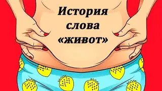 История слова "живот"
