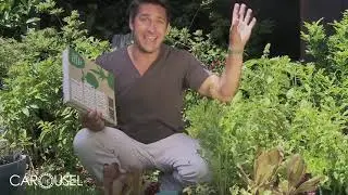 Jamie Durie Talks About The Benefits of An Edible Garden