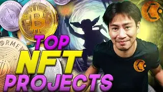 Top NFT Projects 🏆 What are the Best NFTs to Buy for Beginners?
