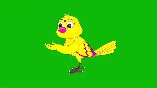 tuni chidiya walking green screen video | free greenscreen video | no copyright greenscreen bd