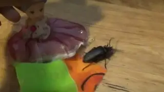 БОЛЬШОЙ ЖУК ЗАЛЕЗ В ИГРОВОЙ ДОМИК - ТО ЧТО БЫЛО ДАЛЬШЕ ПОРАЗИЛО ВСЕХ НАС