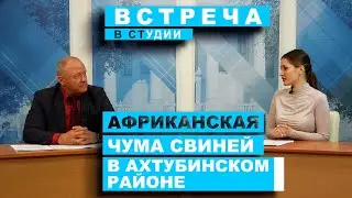 Встреча в студии. Африканская чума свиней (16.02.2023)