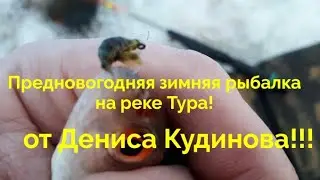 Предновогодняя зимняя рыбалка на реке Тура!