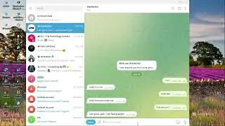 Python_Telegram Chat Bot