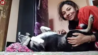 Fun and Cute Morning with Me and My Dog Shinchan 🐶☀️ | His Happy Moments 😄
