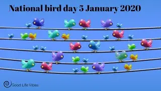 National bird day 5 january 2020