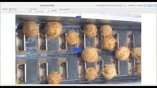 [ANSCENTER AI BOX] Coconut Counting