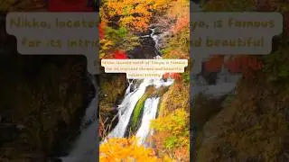 Top 6 spots to visit in Japan for autumn #foliage #japan #bucketlist #vacation #travel #traveltips